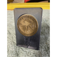 Coinhouder / Munt display